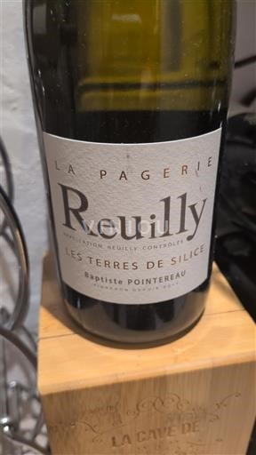 Loire Valley Reuilly La Pagerie Les Terres de Silice 2023
