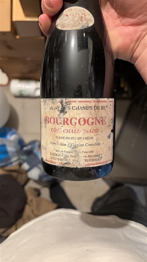 Borgonha Borgonha-Costa-Chalonnais Les Champs de Bevy Pinot noir 2000