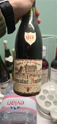 Sudoeste Madiran Domaine Aubous 1976