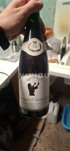 Vallée de la Loire Saumur-champigny Domaine La bedaudière 1987