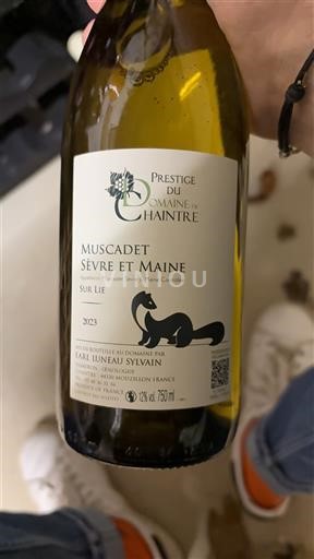 Loire Valley Muscadet Sèvre et Maine Domaine La Chaintre Prestige 2023