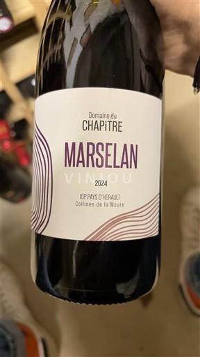 Languedoc Domaine Chapître Marselan 2024