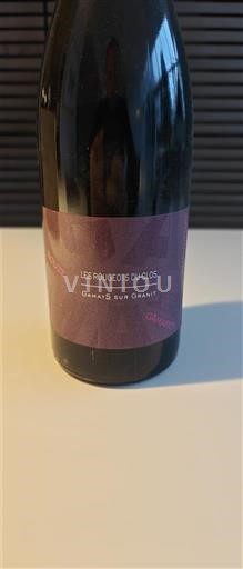 Thung lũng sông Loire Urfé Les Rougeots du Clos Gamays sur Granit 2022