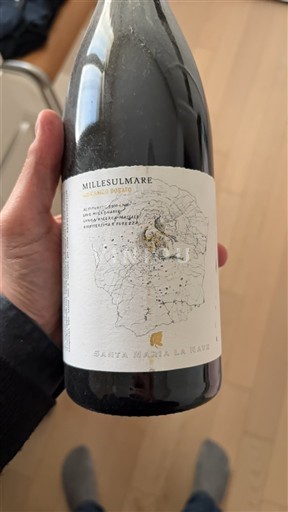 Sicilien Etna Santa Maria La Nave Millesulmare Grecanico Dorato 2019