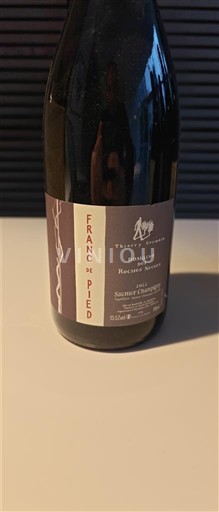 Vallée de la Loire Saumur-champigny Domaine Des Roches Neuves - Thierry Germain Franc de Pied 2022