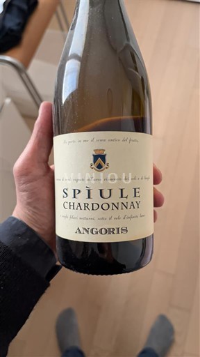 Friuli-Venezia Giulia Colli Orientali del Friuli Angoris Spiule 2013