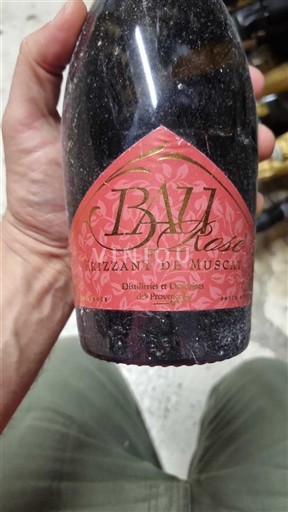 Provence Domaine Baly Rosé Non Millésimé