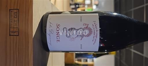 Beaujolais Domaine Jules Desjourneys Songe 2022