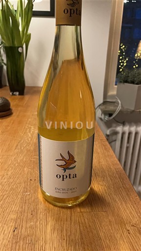 Portugal Dão Opta Encruzado 2022