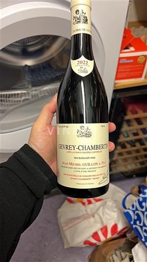 Бургундія Gevrey-Chambertin Domaine Jean-Michel Guillon et Fils 2022
