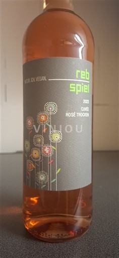 Palatinate Northern Wine Route Hilz Rosé Trocken 2023