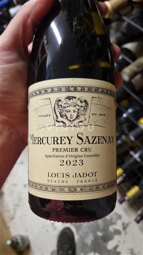 Borgogna Mercurey Premier Cru Louis Jadot Mercurey Sazenay 2023