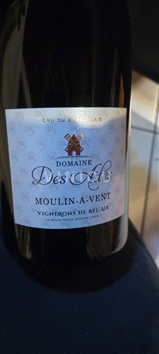 Beaujolais Moulin-à-vent Domaine S Ailes 2022