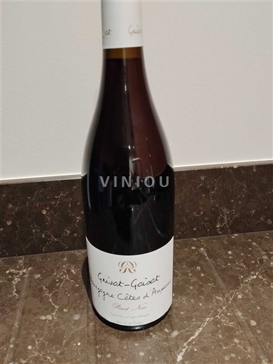 Burgundi Bourgogne Côtes d'Auxerre Grivot Goisot Pinot Noir 2024