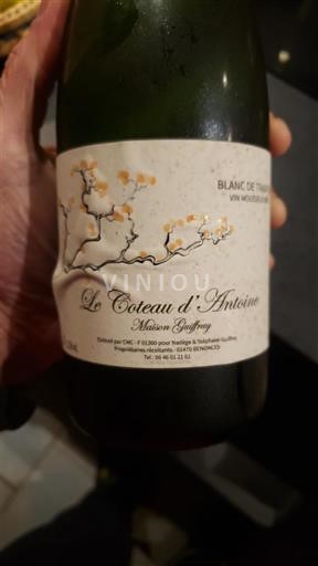 Champagne Maison Guffroy Le Coteau d'Antoine 2021