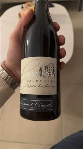 Borgogna Mercurey Château Chamilly Au pied du Mont Moret 2020