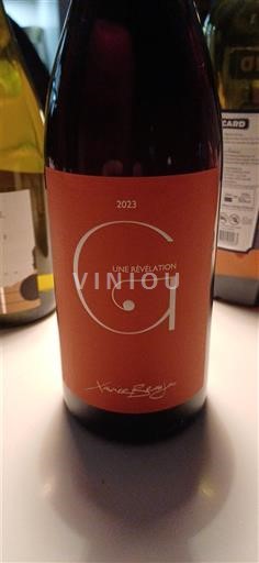 Vinhos Rouge sec G une révélation Xavier Berger 2023 França Beaujolais AOC