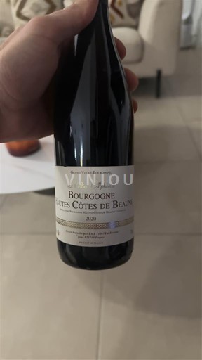 Bourgogne Hautes Côtes de beaune Domaine Theulot-Juillot La Violette 2020