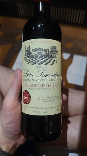 Bordeaux Puisseguin-Saint-Émilion Château Marsauda Bellevue Bois Lamouline 2022