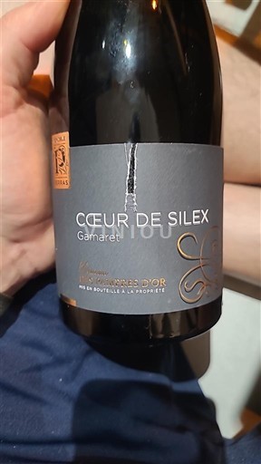 Альпи та Ронські землі Ронські графства Domaine S Hautes Collines d’Or Cœur de Silex 2021