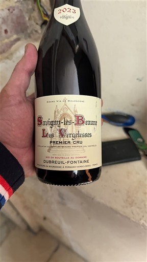 Bourgondië Savigny-lès-Beaune Premier Cru Dubreuil-Fontaine Les Vergelesses 2023