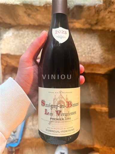 Burgundia Savigny-lès-beaune Premier Cru Dubreuil-Fontaine Les Vergelesses 2023
