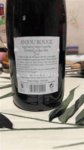 Valle della Loira Anjou Domaine S Iris 2016