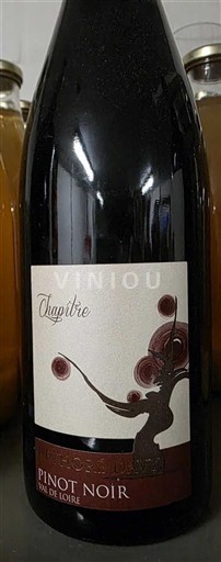 Thung lũng sông Loire Thung lũng Loire Domaine Rethoré Davy Pinot Noir 2018