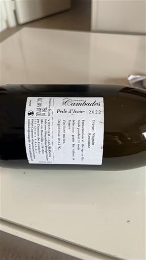 Sydvestfrankrig Côtes de Gascogne Domaine S Cambades Perle d'Ivoire 2022