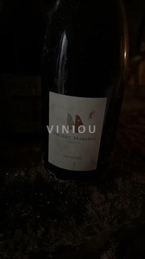 Valle della Loira Saint-Nicolas-De-Bourgueil Frédéric Mabileau Les Racines 2012