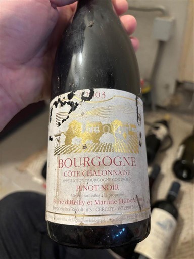 Borgonha Borgonha-Costa-Chalonnais Domaine Pierre Duheilly et Martine Hubert 2003