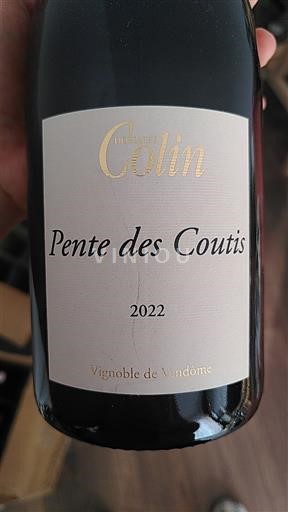 Dolina Loare Coteaux du Vendômois Domaine Colin Pente des Coutis 2022