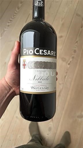 Piamonte Langhe Pio Cesare 2022