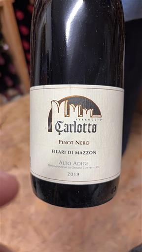 Veneto Valdadige Carlotto Filari di Mazzon 2019