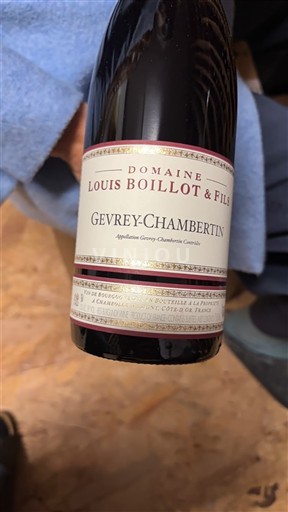 Bourgogne Gevrey-chambertin Domaine Louis Boillot & Fils Non Millésimé