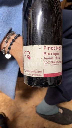 Grisons (Graubünden) Graubünden PDO Gialina Pelizzatti Barrique 2011
