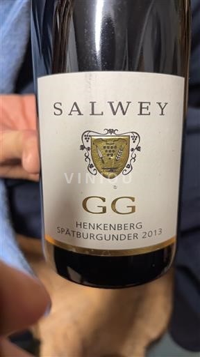 Baden Salwey Henkenberg GG 2013