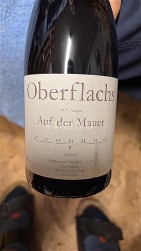 Argovie Aargau Oberflachs Auf der Mauer 2021