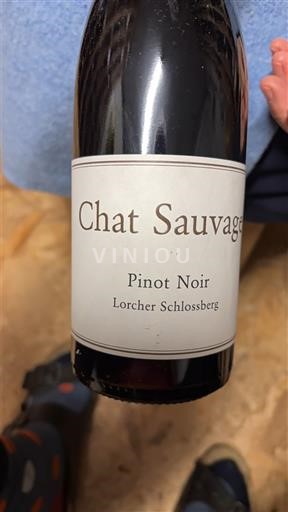 Vin Rouge sec Lorcher Schlossberg Chat Sauvage 2014 Allemagne Rheingau