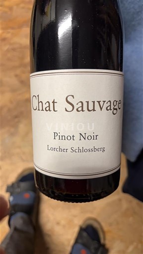 Rheingau Chat Sauvage Lorcher Schlossberg 2014