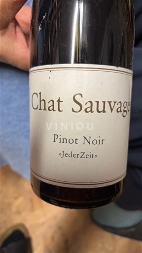 Rheingau Chat Sauvage JederZeit 2008