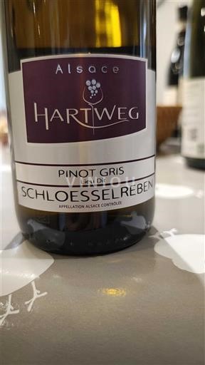 Alsace Pinot Grigio Hartweg Schloesselreben 2022