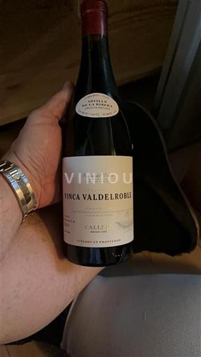 Madrid Vinos de Madrid Bodegas Bernabeleva Finca Valdetrillo 2021