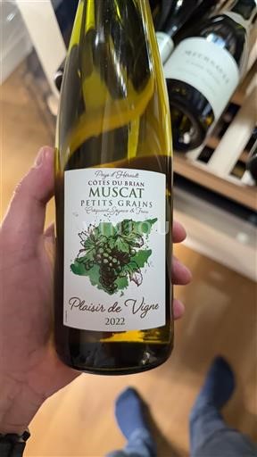 Languedoc e Roussillon Côtes do Brian Plaisir de Vigne 2022