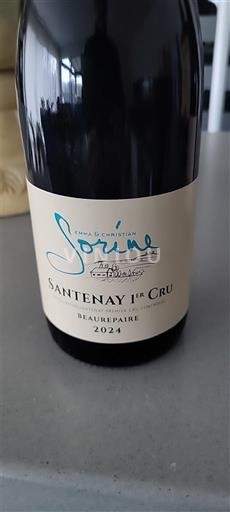 Bourgogne Premier Cru Domaine Sophie et Christian Sorine Beaurepaire 2024