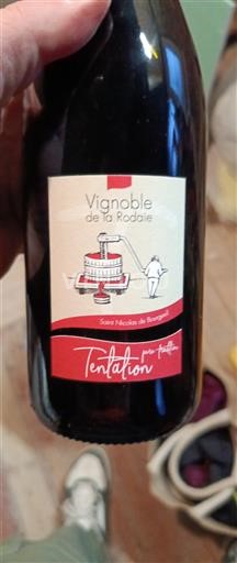 Valle della Loira Saint-Nicolas-De-Bourgueil Vignoble de la Rodale Tentation 2024