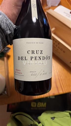 Castile and León Ribera del Duero Dominio de Cair Cruz del Pendón 2022