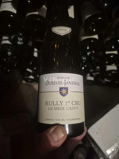 Burgundsko Nespecifikováno Premier Cru Domaine Reuil-Janthial Le Meix Cadot 2019
