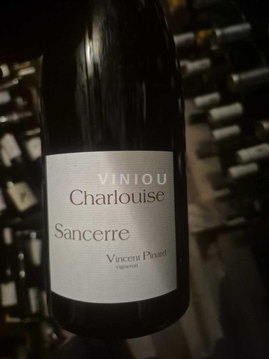 Dolina Loare Sancerre Vincent Pinard Charlouise Neleten.