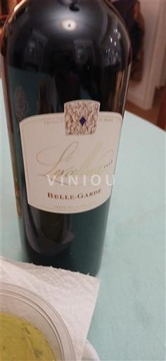 Wines Rouge sec Belle-Garde Loudun 2018 France Loire Valley Saumur AOC